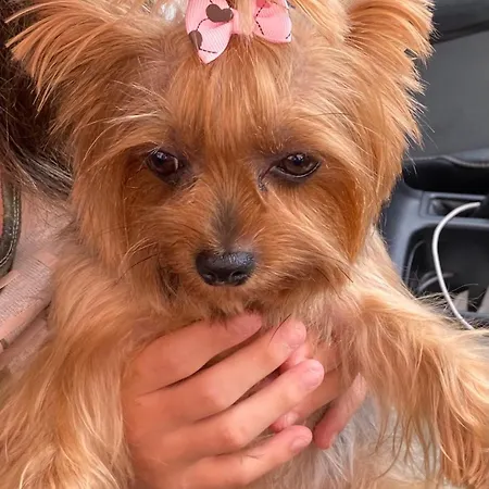 Turistico Nanielles Sella Playa - Vut 3050as Apartment Ribadesella