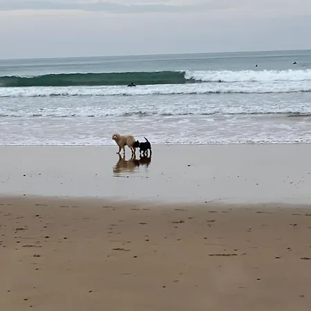 Turistico Nanielles Sella Playa - Vut 3050as Apartment *