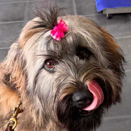 Turístico Nanielles Sella Playa - Vut 3050as