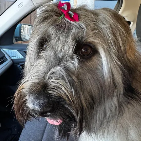 דירה Turistico Nanielles Sella Playa - Vut 3050as